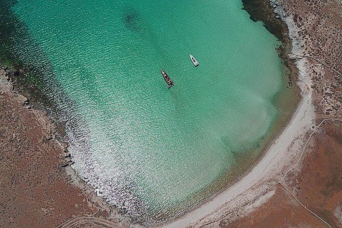 3 hour private cruise: DELOS - RHENIA - Open bar and snorkeling gear: what’s actually included