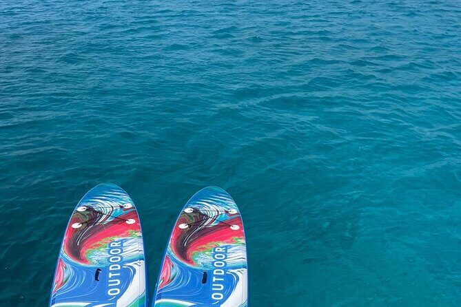 5 Hours Sunset Tour to Delos and Rhenia Island with Dinner - Rhenia Island for Snorkeling and Swim Time (With Lunch Running in the Middle)