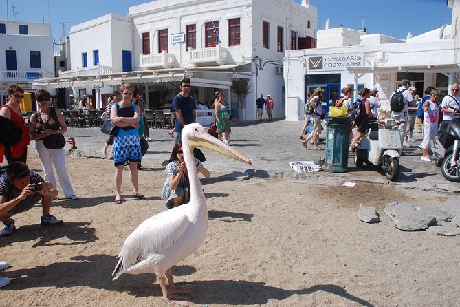 City & Island Tour - Beach relaxation: the part that keeps the day human