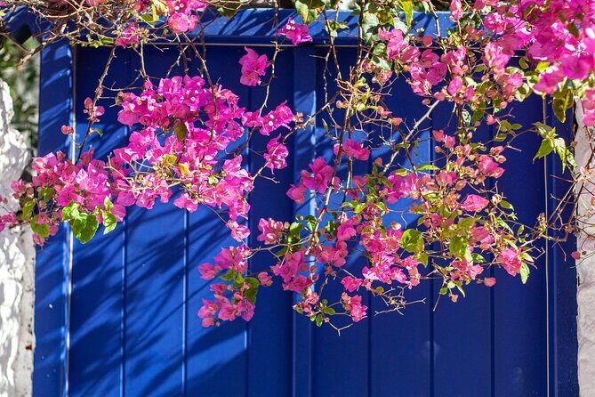 Discover Mykonos in 4 Hours Beaches Villages and Town - Key highlights you will feel in real time