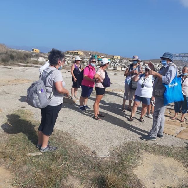 From Mykonos: Ancient Delos Tour - Logistics to watch: Whisper system, meeting point, and timing gaps