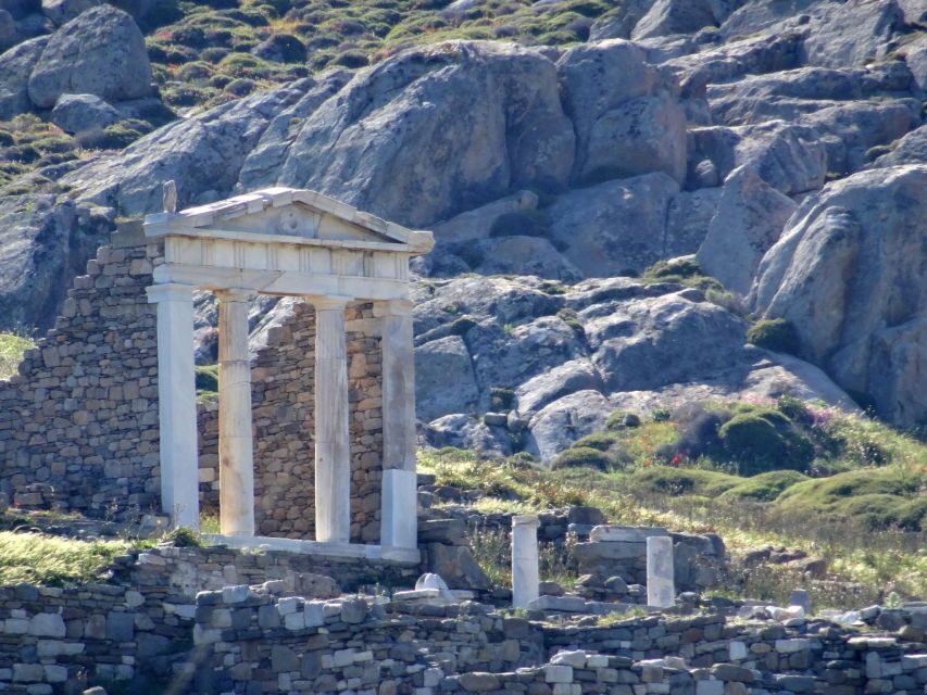 From Mykonos: Ancient Delos Tour - Guided walking route: Agora to the Sacred Way without getting lost