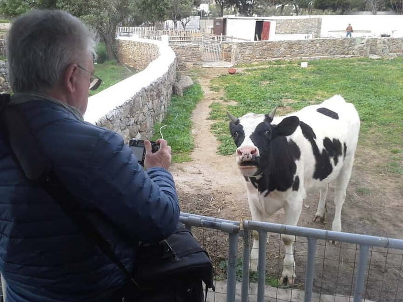 From Mykonos: Ano Mera Farm Tour - Ano Mera and the Mykonos farming angle (not just photos)