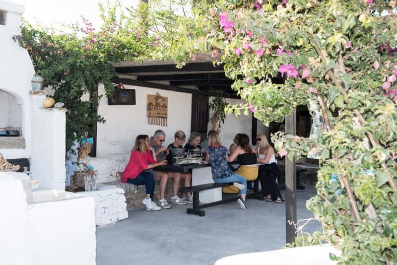 From Mykonos: Ano Mera Farm Tour - What the farm time feels like (and what not to expect)