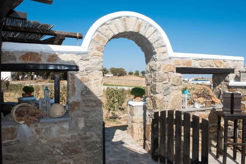 From Mykonos: Ano Mera Farm Tour - Price and value: is $51 a fair deal for this Mykonos farm stop?