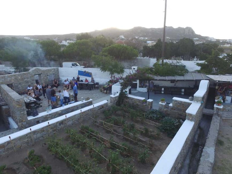 From Mykonos: Ano Mera Farm Tour - Who should book (and who should look elsewhere)