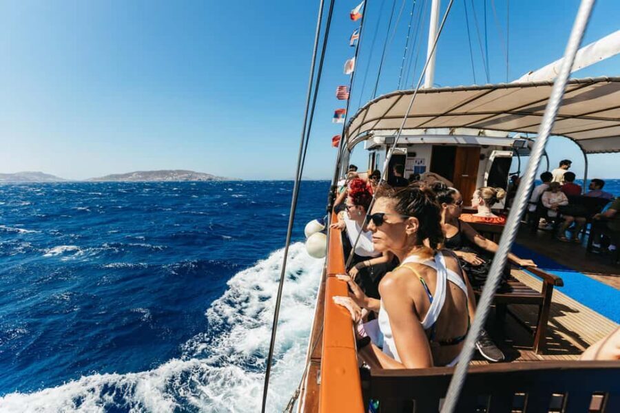From Mykonos: Cruise to Delos and Rhenia with Lunch - Key highlights worth paying attention to