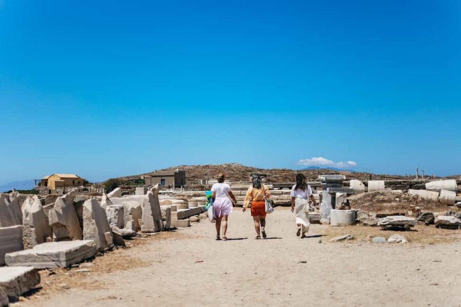 From Mykonos: Cruise to Delos and Rhenia with Lunch - Should you book the Cruise to Delos and Rhenia with Lunch?