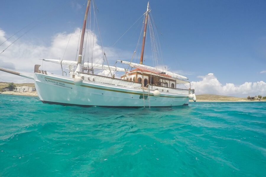 From Mykonos: Delos & Rhenia Islands Half-Day Trip by Boat - A 6.5-Hour Itinerary That Actually Has Time for Both Islands