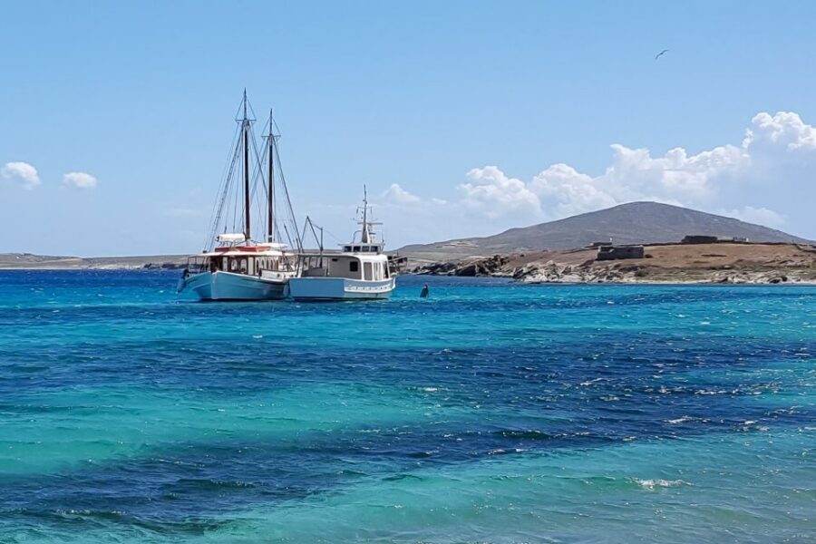 From Mykonos: Delos & Rhenia Islands Half-Day Trip by Boat - Choosing Between Delos Ruins and Staying on Board
