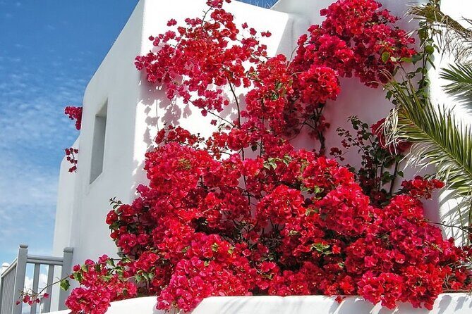 Guided Walking Tour Mykonos, Little Venice, Windmills, Beaches - Ano Mera village + Panayia Tourliani: slowing the tempo in the middle
