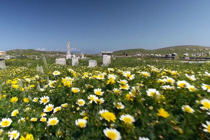 Half-Day Delos Tour from Mykonos - Museum Time: Optional, Paid, and Easy to Underuse