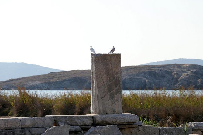 Half-Day Delos Tour from Mykonos - Who This Half-Day Delos Tour Is Best For