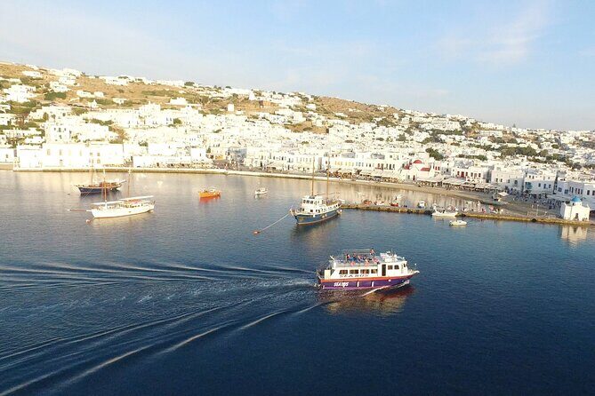 Half Day Delos Tour of Mykonos from the Cruise Ship Port - Price and value: what’s included vs what you pay in cash