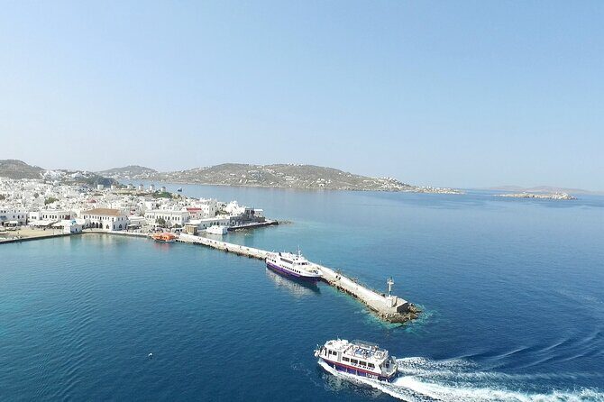 Half Day Delos Tour of Mykonos from the Cruise Ship Port - What to bring (and what to skip) for a Delos island walk