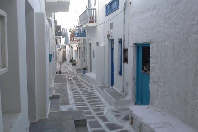 Half-Day Private Guided Tour in Mykonos - Beaches with options: Agrari’s feel and the Paradise-versus-calm choice