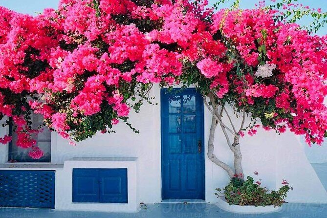 Mykonos Coastal Delights: A Cruise Passenger's Dream Day - The Guide Factor: Why the Narration Can Make or Break the Day