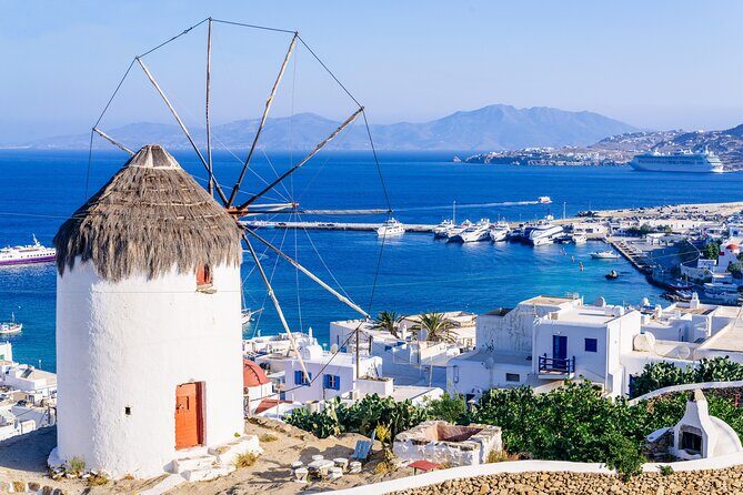 Mykonos Coastal Delights: A Cruise Passenger's Dream Day - Price and Logistics: What You Get for $90.11