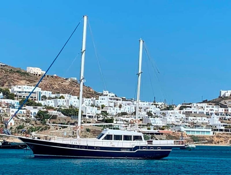 Mykonos: Delos and Rhenia Islands Cruise with BBQ Meal - Key highlights worth knowing
