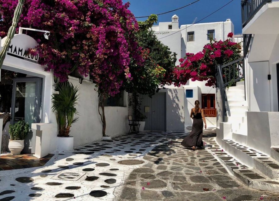 Mykonos: Full-Day Sightseeing Tour with Lunch - Price and logistics: is $141 really “worth it”?