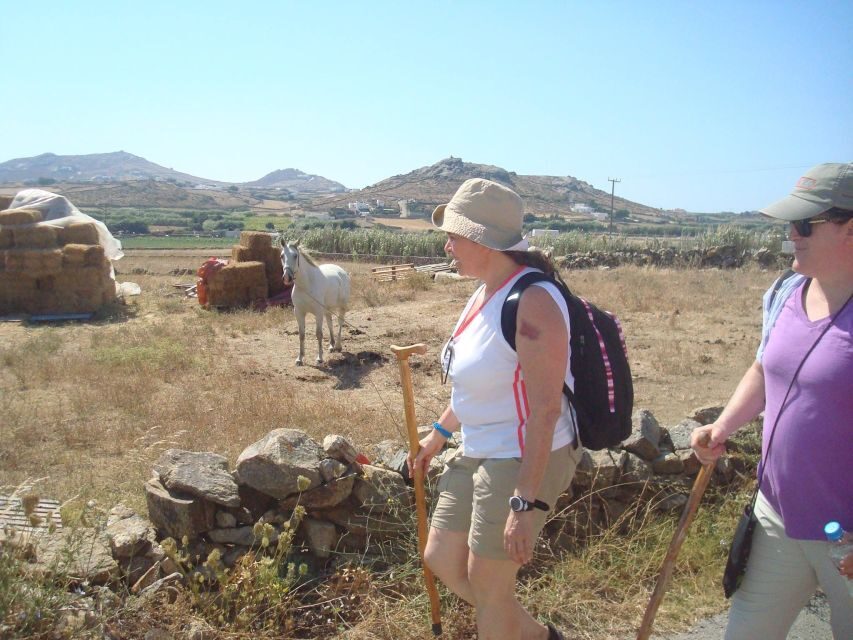 Mykonos Hiking Adventure - FAQ