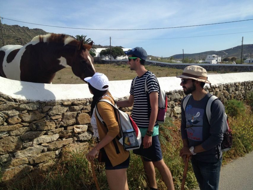 Mykonos Hiking Adventure - Price and value: what $64 buys, and what can add cost