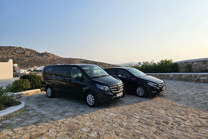 Mykonos Private Shore Excursion: Half-Day Island Discovery - What to Bring so the Day Feels Easy