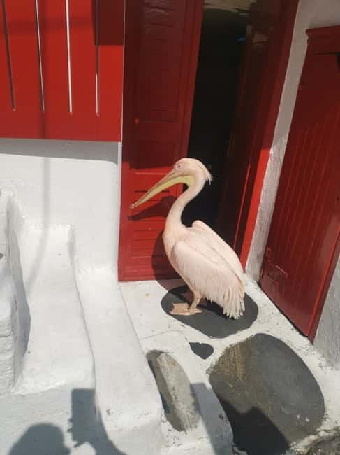 Mykonos: Private Tour with Range Rover - Beaches, swimming time, and the party-side stops