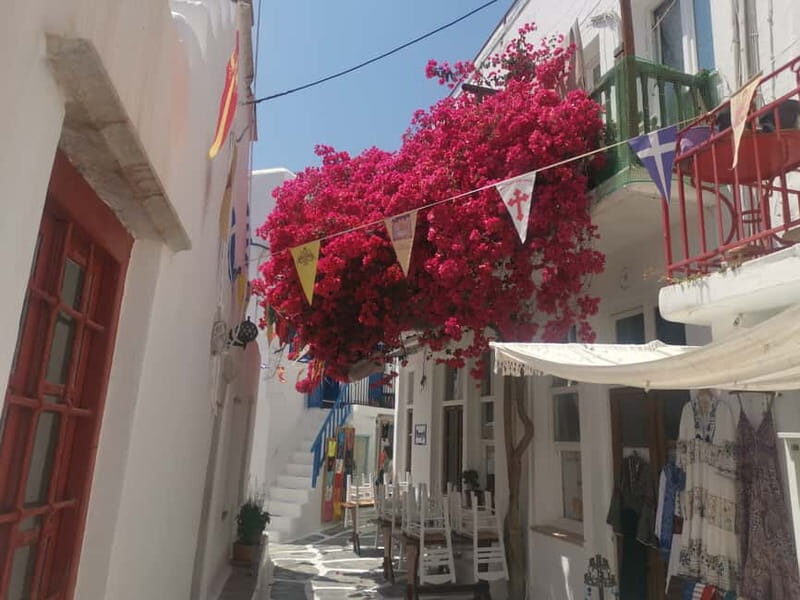 Mykonos: Private Tour with Range Rover - Who this private tour suits best