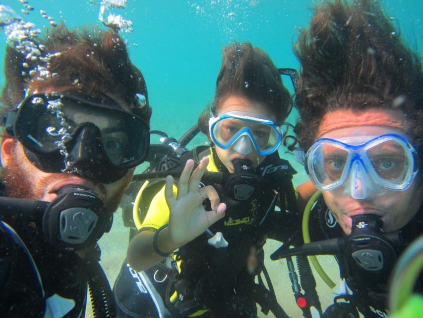 Mykonos: Scuba Diving Mini Program for Beginners - What you’ll do in the water: expectations for fish, scenery, and comfort