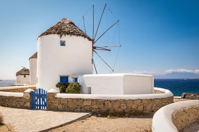 Mykonos Shore Excursion: Elia Beach & Town Exploration - Small Details That Make the Difference in Real Life