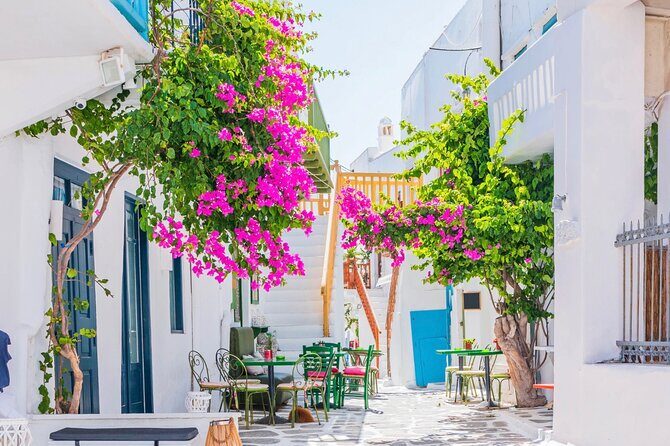 Mykonos Small Group Tour for Cruise Passengers — Port Pickup - Who this tour fits best (and who should consider a different option)