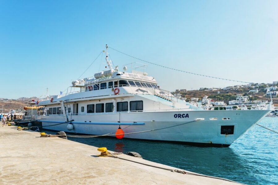 Mykonos Town: Archaeological Site of Delos Guided Day Trip - Delos First Steps: Getting Your Bearings With a Guide