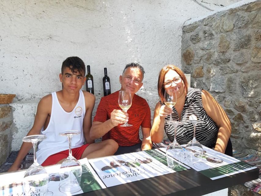 Mykonos: Wine Tasting at a Mykonian Farm - From Hora to Ano Mera: the drive that starts the experience
