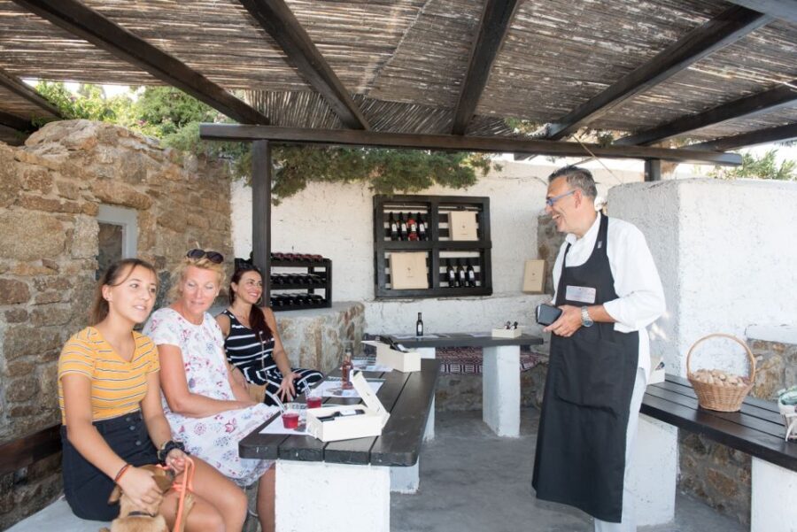 Mykonos: Wine Tasting at a Mykonian Farm - The tasting lesson: 4 Greek wines taught in stages