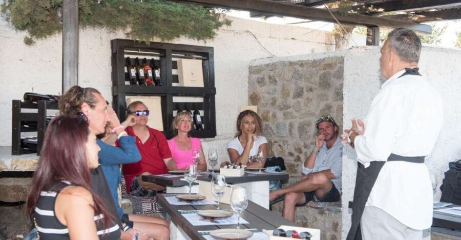 Mykonos: Wine Tasting at a Mykonian Farm - Timing: morning vs evening tasting at 12:00 or 18:00