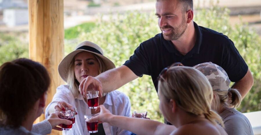 Mykonos: Winery Vineyard Experience with Food & Wine Tasting - Entering The Olive Grove and Vineyards (2 hours that actually feels like a visit)