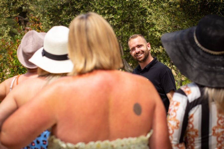 Mykonos: Winery Vineyard Experience with Food & Wine Tasting - Practical tips before you go