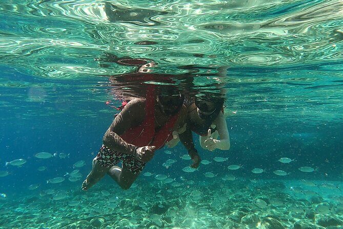 Private 1-Hour Guided Snorkeling Adventure with Go Pro Pictures - Fish spotting plus Posidonia seagrass: what you’ll learn to see