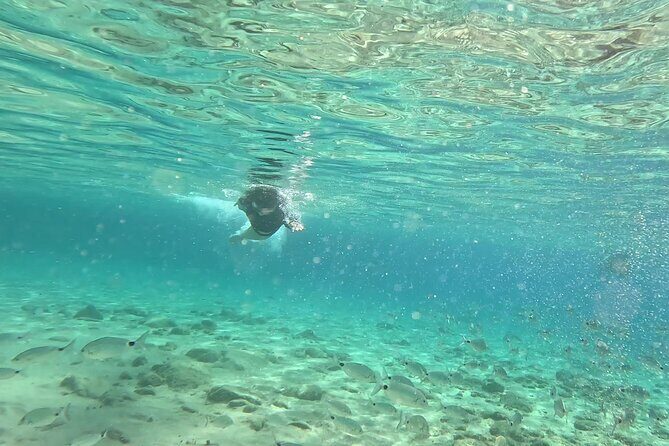 Private 1-Hour Guided Snorkeling Adventure with Go Pro Pictures - Price and value: what $137.57 gets you (and what it doesn’t)