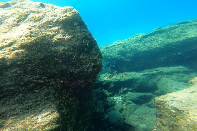 Private 1-Hour Guided Snorkeling Adventure with Go Pro Pictures - Gear-up and the short lesson before you snorkel