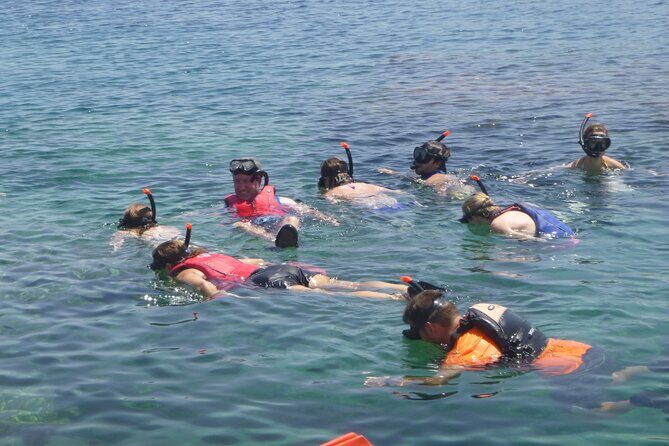 Private Active Island Tour by Minibus - Value check: $936.19 per group up to 8
