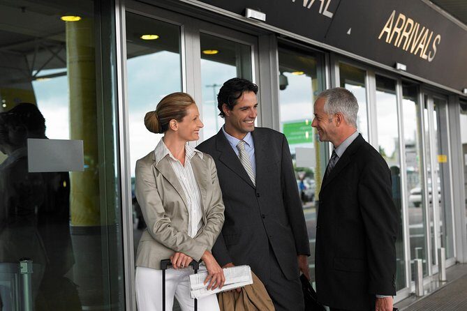 Private Arrival Transfer: Mykonos Airport or Cruise Port to Hotels - Key Highlights You’ll Care About