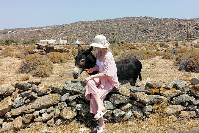 Private Half-Day Mykonos Insider Tour with Pick Up - Kalafati and Kalo Livadi Beaches: Photos Plus Real-World Coast Life
