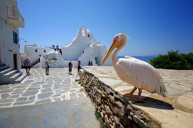 Private Half-Day Mykonos Insider Tour with Pick Up - Mykonos Town from Above: Windmills and Old Port in One Quick Hit