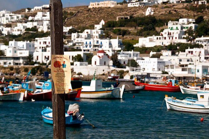 Private Tour of Little Venice, Kalafati Beach and Panagia Tourliani Monastery - Price and value: is $481.04 per person worth it?