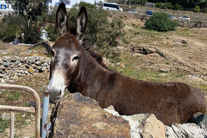 Private Tour Of Mykonos Included Town - Agios Ioannis Diakoftis and beach drives: sea views without the full beach day