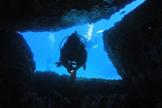 Qualified Diver 1 Tank Dive in Mykonos - Price and Value: What $178.61 Really Buys You