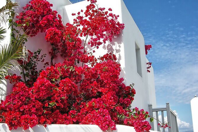 Sightseeing like a Mykonian(Small Group or Private) - Snacks, drinks, and that homemade factor