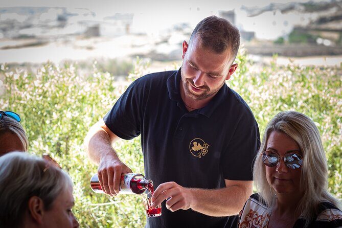 Tour and Wine Tasting in Mykonian Land - Meeting point and what timing feels like